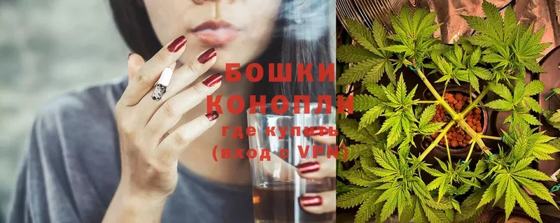 где продают наркотики  Апатиты  Конопля SATIVA & INDICA 